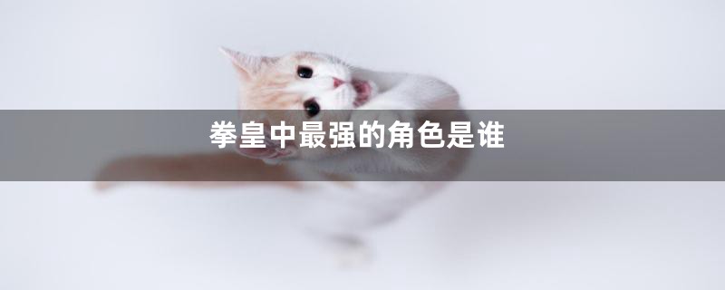 拳皇中最强的角色是谁