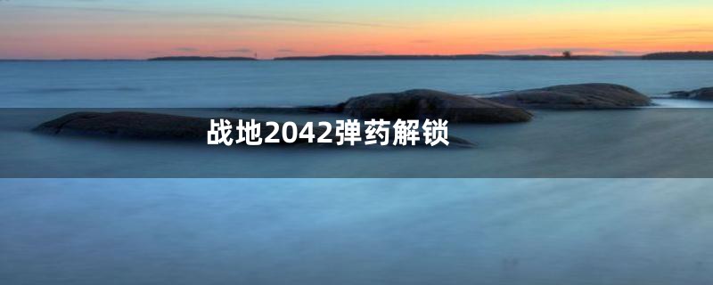 战地2042弹药解锁