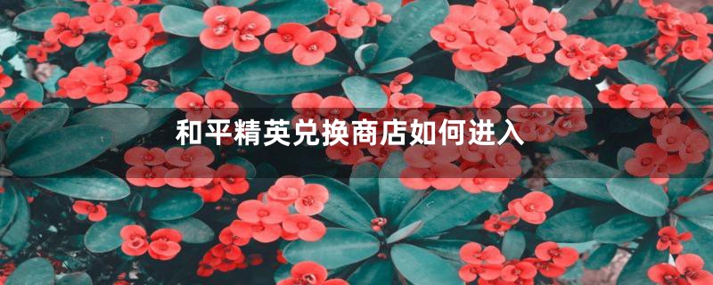 和平精英兑换商店如何进入