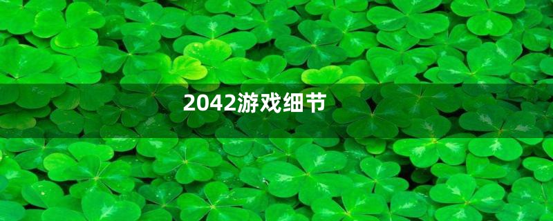 2042游戏细节