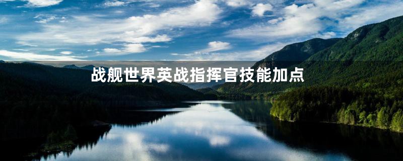 战舰世界英战指挥官技能加点