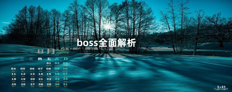 boss全面解析