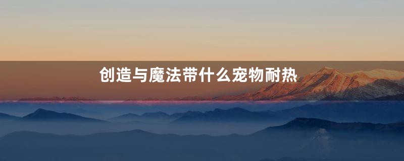 创造与魔法带什么宠物耐热