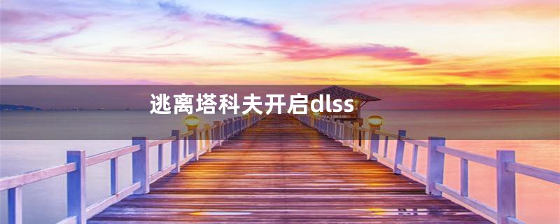 逃离塔科夫开启dlss