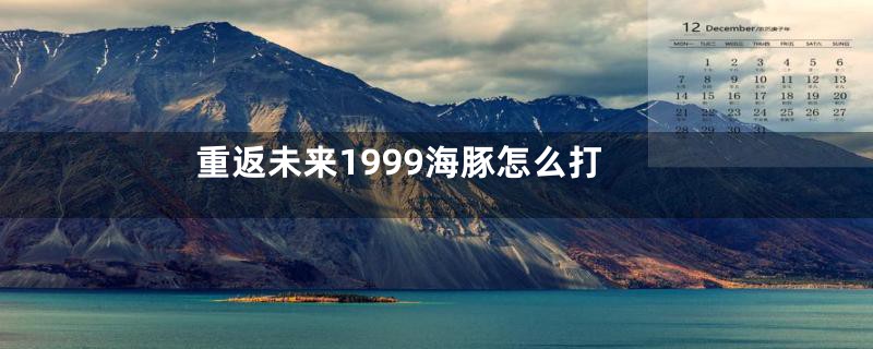 重返未来1999海豚怎么打