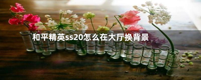 和平精英ss20怎么在大厅换背景