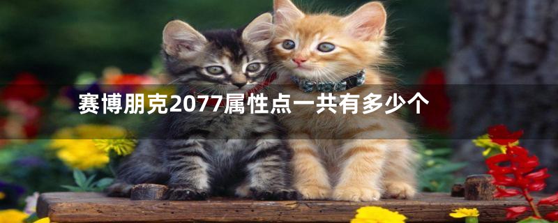 赛博朋克2077属性点一共有多少个