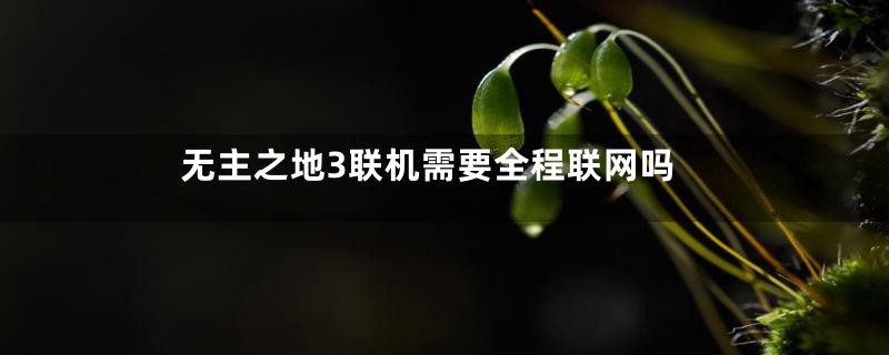 无主之地3联机需要全程联网吗