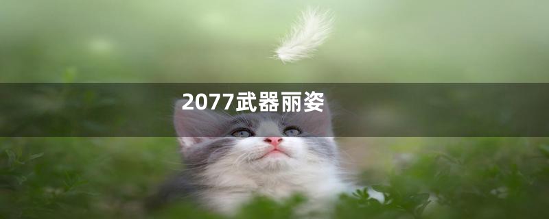 2077武器丽姿