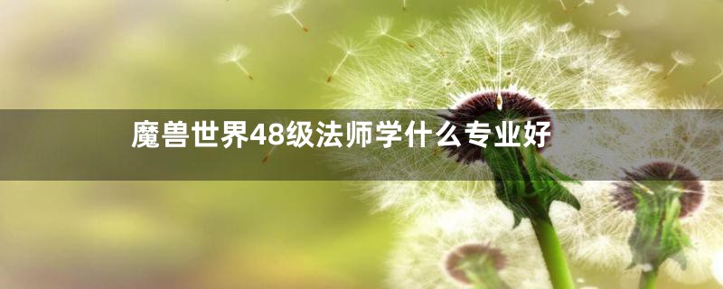 魔兽世界48级法师学什么专业好