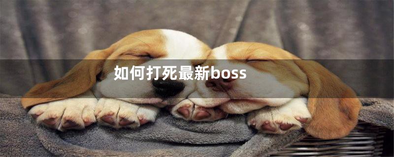 如何打死最新boss