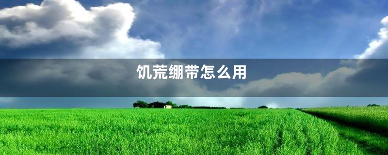 饥荒绷带怎么用