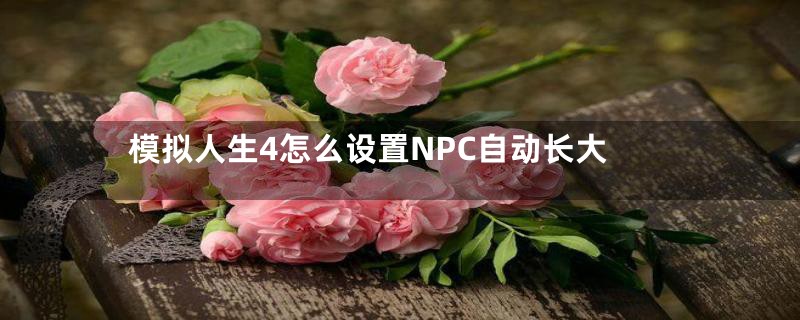 模拟人生4怎么设置NPC自动长大