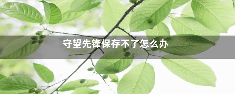 守望先锋保存不了怎么办