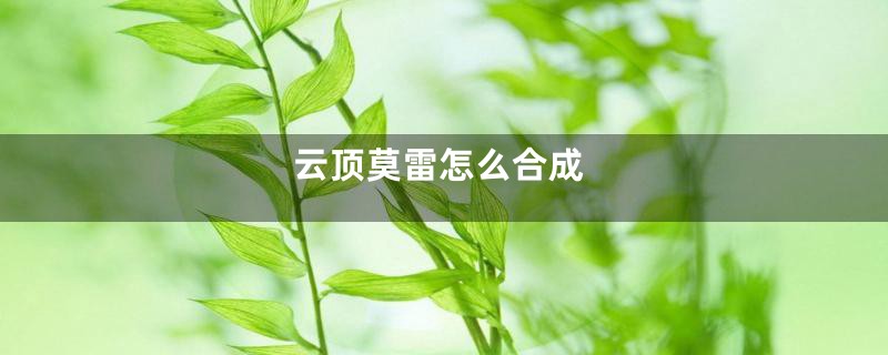 云顶莫雷怎么合成