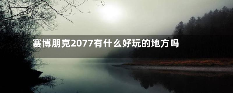 赛博朋克2077有什么好玩的地方吗