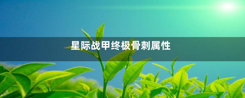 星际战甲终极骨刺属性