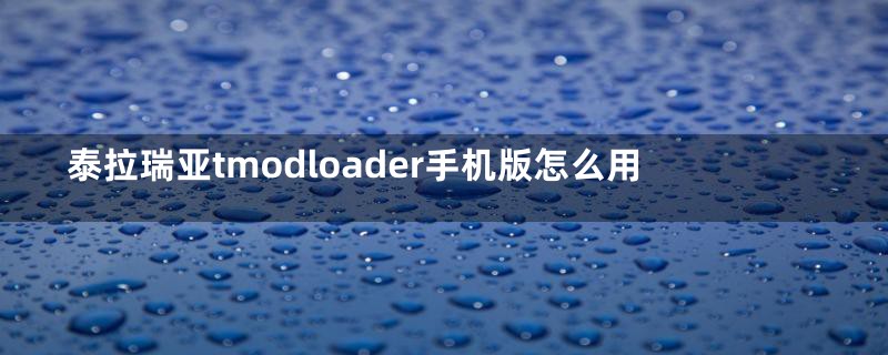 泰拉瑞亚tmodloader手机版怎么用