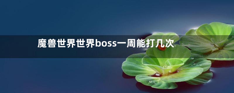 魔兽世界世界boss一周能打几次