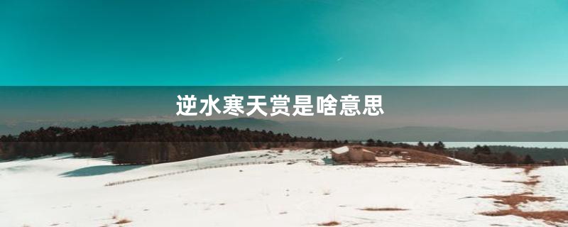 逆水寒天赏是啥意思