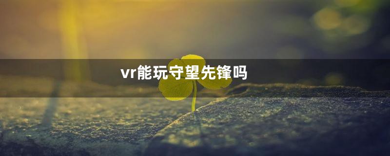 vr能玩守望先锋吗