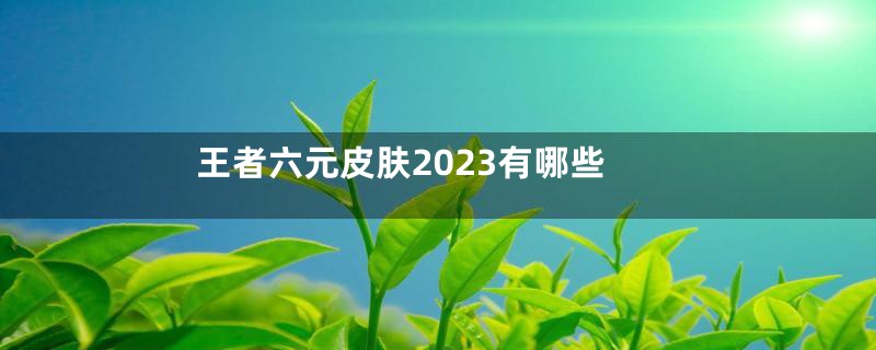 王者六元皮肤2023有哪些