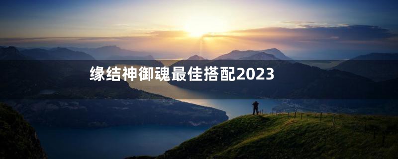 缘结神御魂最佳搭配2023