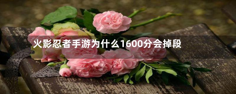 火影忍者手游为什么1600分会掉段