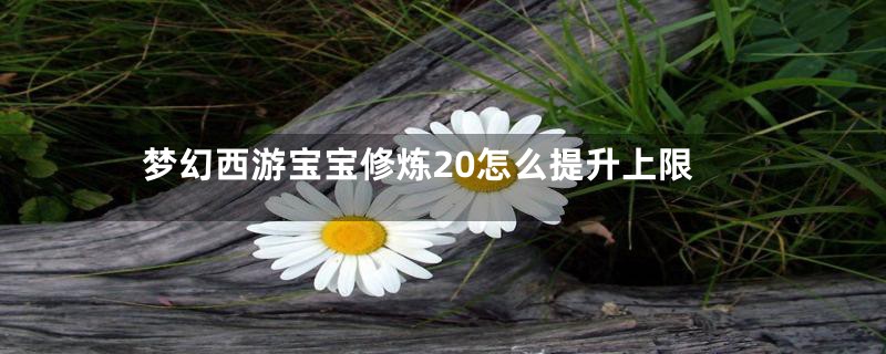 梦幻西游宝宝修炼20怎么提升上限