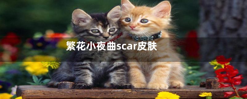 繁花小夜曲scar皮肤