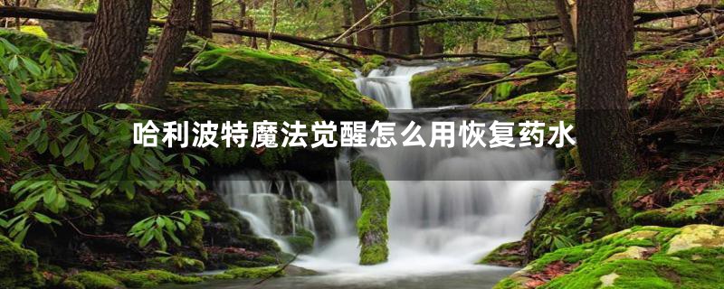 哈利波特魔法觉醒怎么用恢复药水