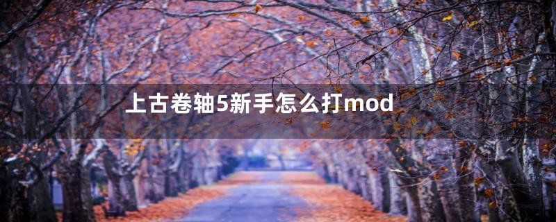 上古卷轴5新手怎么打mod