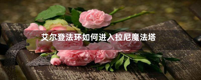 艾尔登法环如何进入拉尼魔法塔