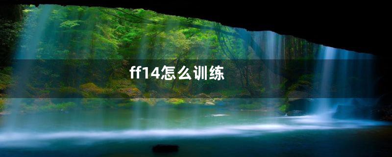 ff14怎么训练