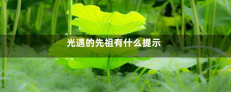 光遇的先祖有什么提示