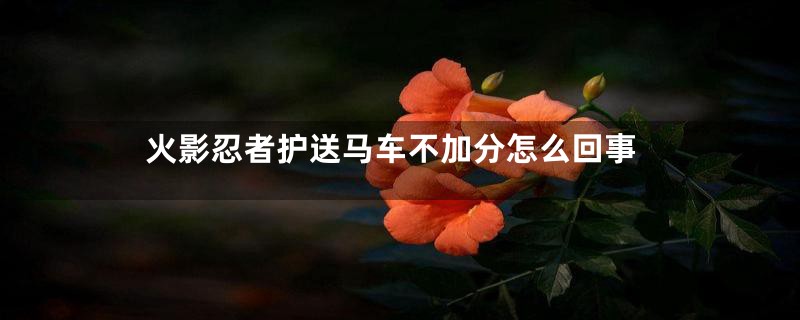 火影忍者护送马车不加分怎么回事