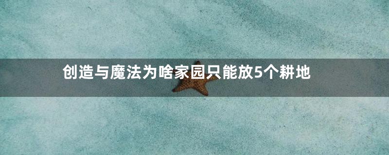 创造与魔法为啥家园只能放5个耕地