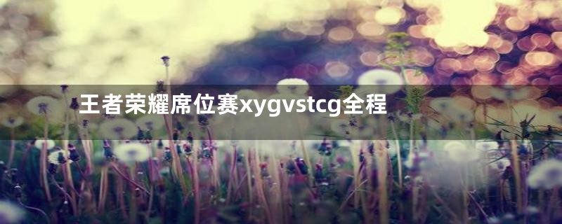 王者荣耀席位赛xygvstcg全程