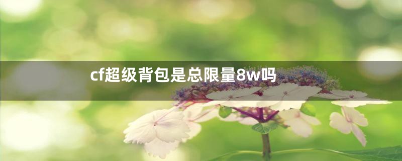 cf超级背包是总限量8w吗