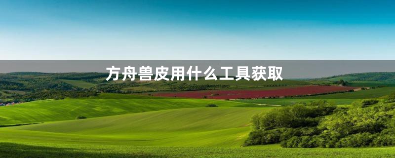 方舟兽皮用什么工具获取