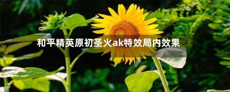 和平精英原初圣火ak特效局内效果