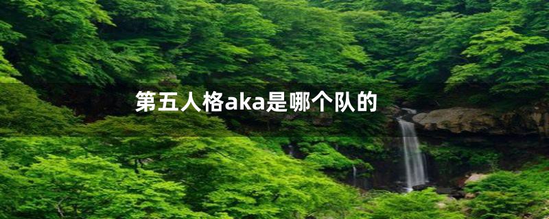 第五人格aka是哪个队的