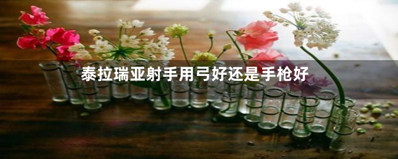 泰拉瑞亚射手用弓好还是手枪好