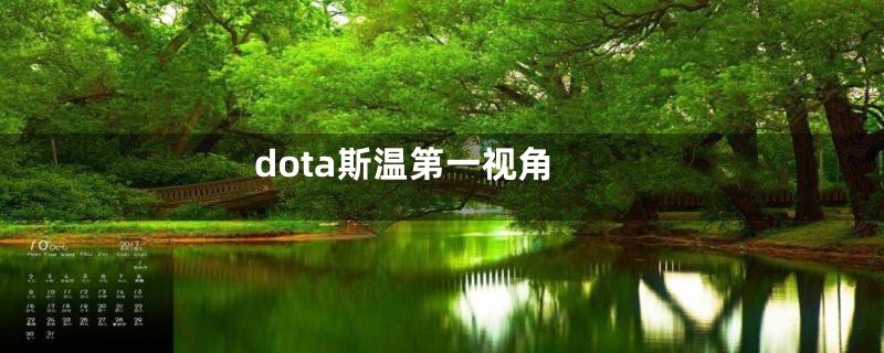 dota斯温第一视角