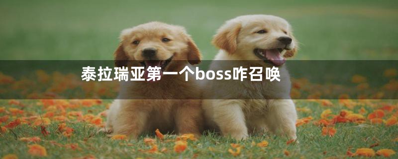 泰拉瑞亚第一个boss咋召唤