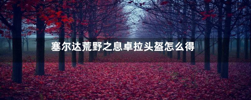 塞尔达荒野之息卓拉头盔怎么得