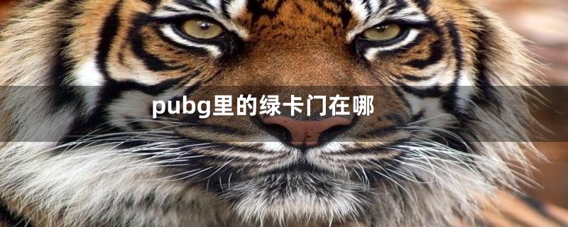 pubg里的绿卡门在哪