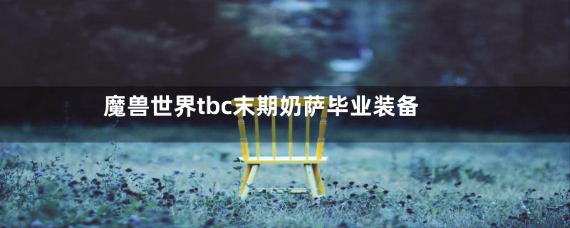 魔兽世界tbc末期奶萨毕业装备