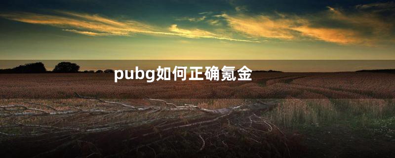 pubg如何正确氪金