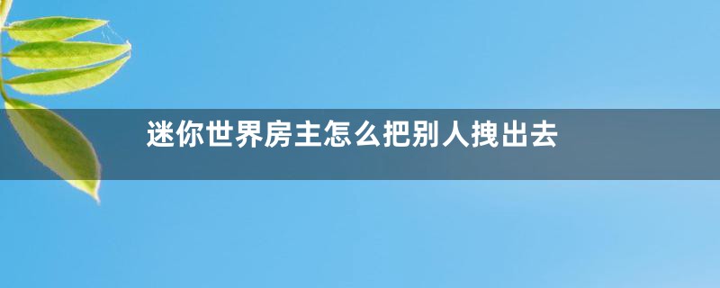 迷你世界房主怎么把别人拽出去